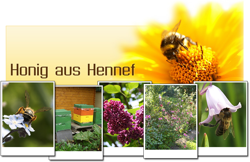Banner Honig aus Hennef